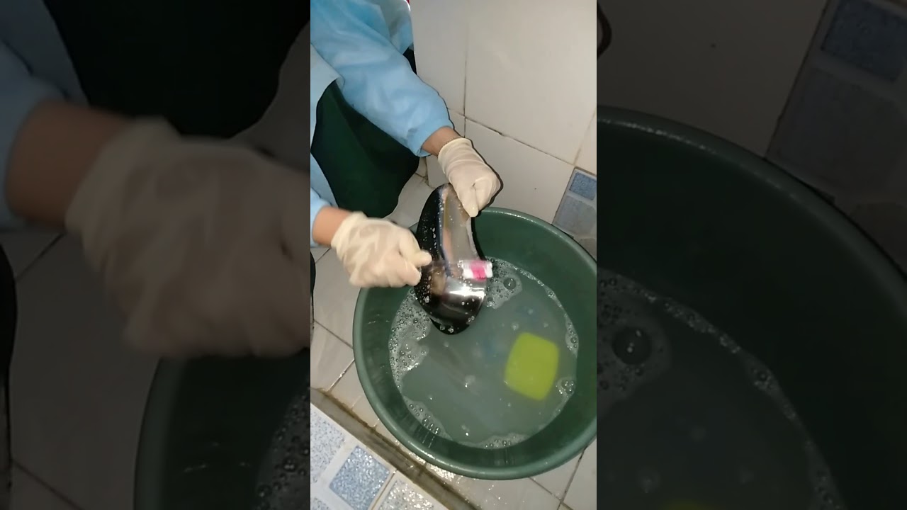 pengendalian infeksi silang 