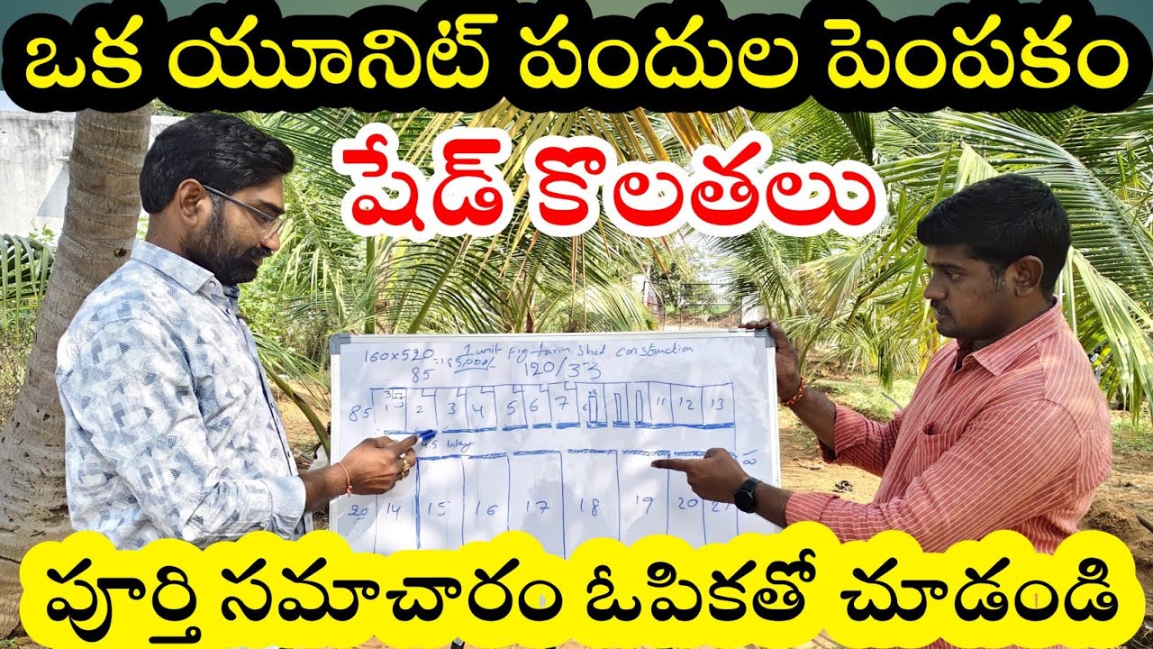 ఒక యూనిట్ పందుల పెంపకం||షేడ్ కొలతలు||1unit pigfarmsheadmeasurement||DNR Agri||