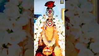 ஓம் முருகா 🙏 #murugan #lordmurugan #muruga #murugansongs #viral #trending #devotional #reels #shorts