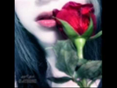 مملكة الزهور محمد الزيلعي المهلي ما يولي 