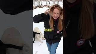 Favorite journaling prompt? #performancepsychology #travelersjournal #journaling ￼#journalprompts