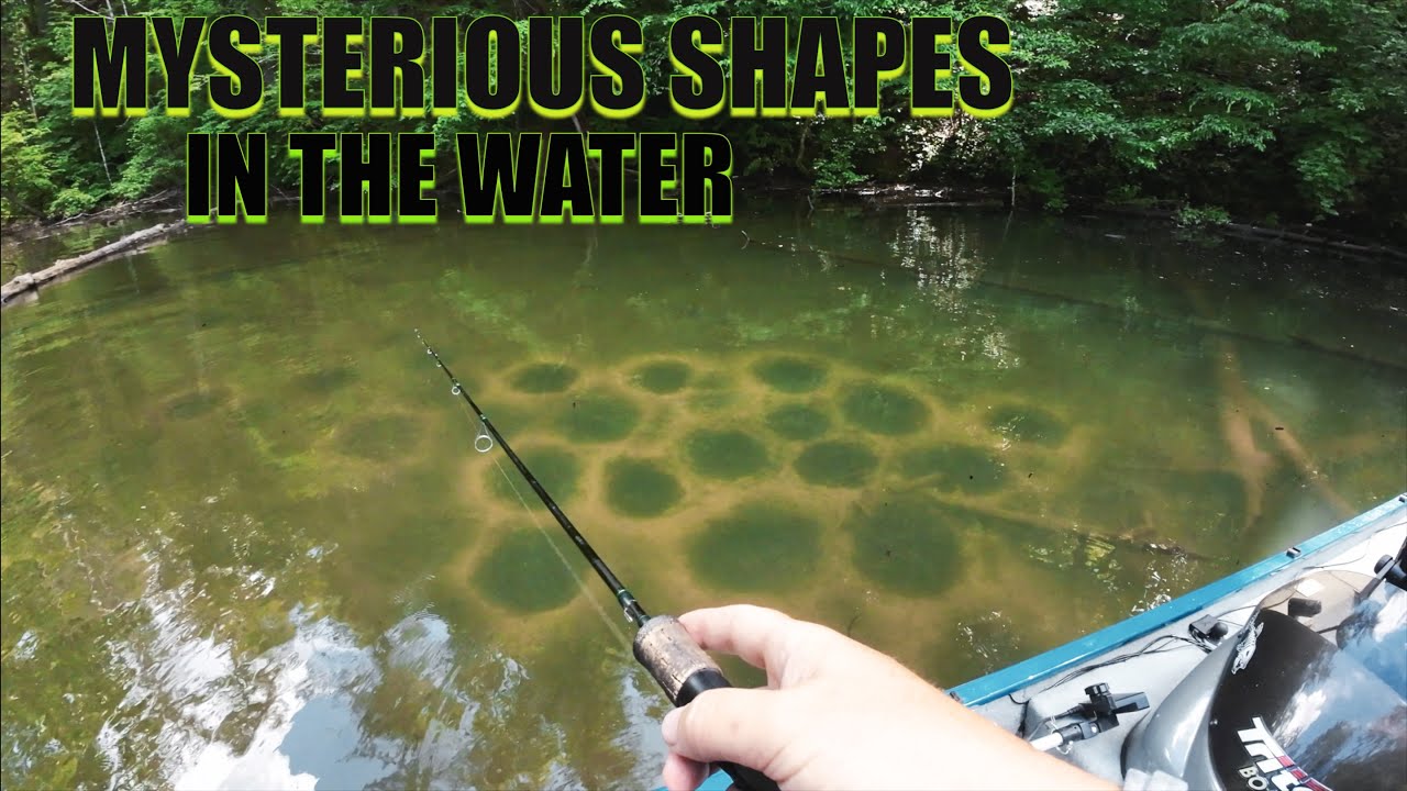ULTRALIGHT FISHING AND CATCHING BIG BASS
