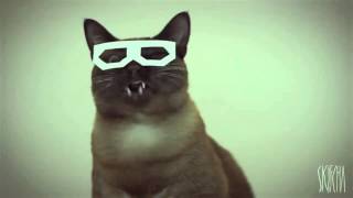 Dubstep Cat (1 Hour Loop)