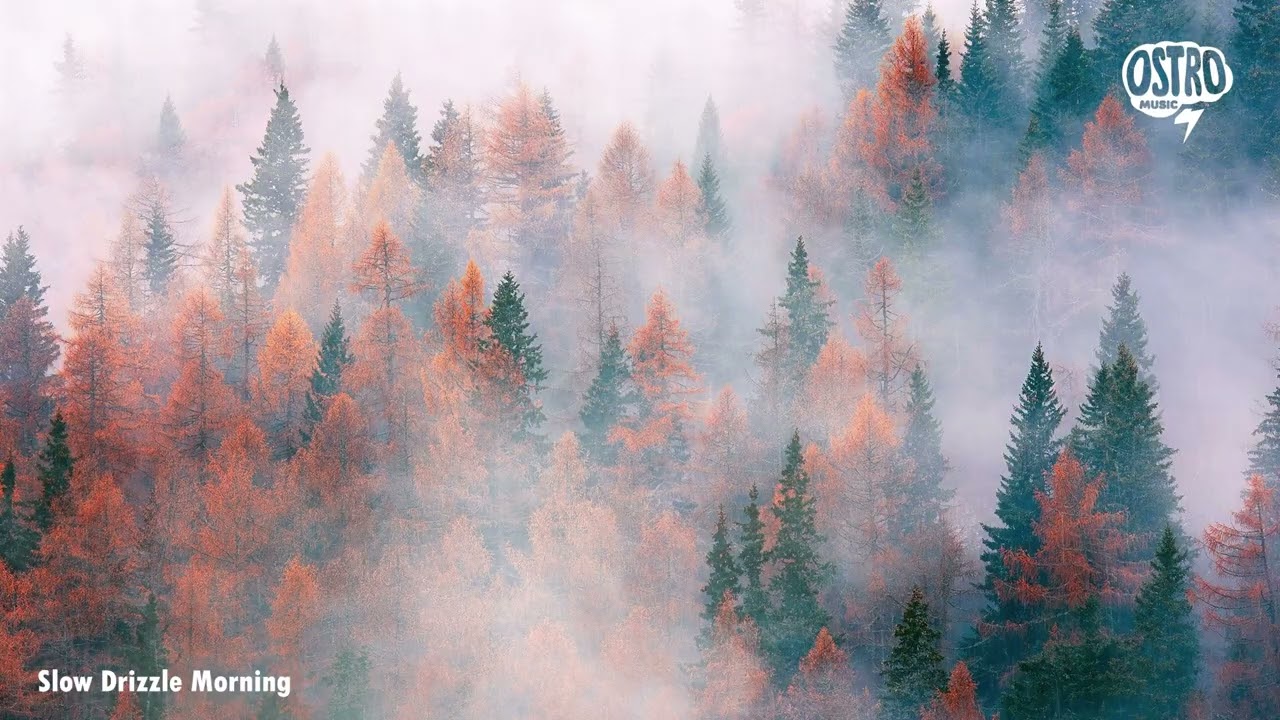 Rainy Folk Days Vol. 3 ☔ Cozy Autumn Indie Folk for Rainy Mornings & Quiet Evenings