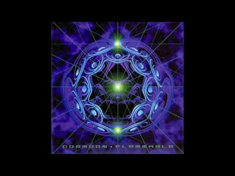 Cosmoon — Cosmoon - Gravitational Fluctuation