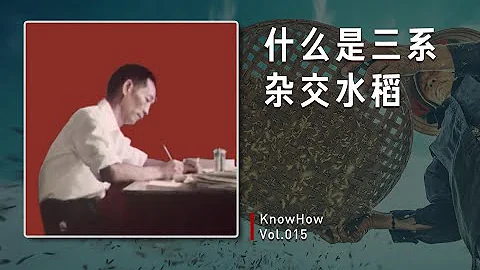 Vol.015 三系杂交水稻是如何产生的？ - 天天要闻