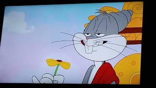 Wabbit Sam Past The Test