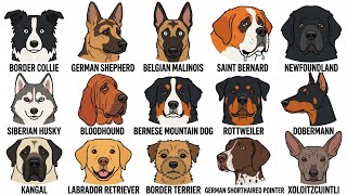 Every Working Dog Breed Explained: The Real Jobs They Were Built To Do