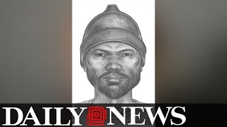 Cops Release Sketch Of Man Seen Leaving Spot Where Karina Vetrano Was Slain
