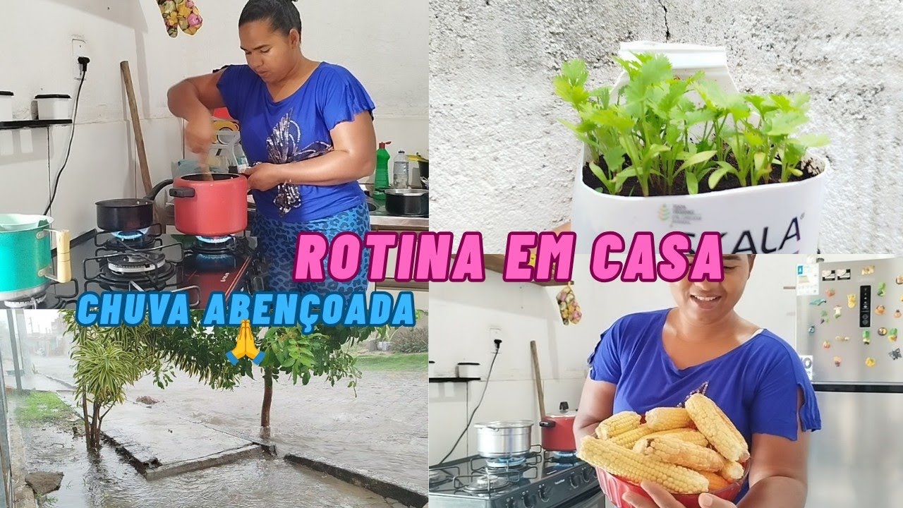 Dia de rotina em casa fiz coxas de frango assada+milho verde cozido, chuva abençoada 🌧️🙏