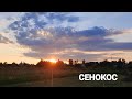 ЛЕТНИЙ ДЕНЬ ЗИМУ КОРМИТ/ СЕНОКОС/