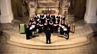 Tu solus (Josquin Desprez) | Vocalitas Nova