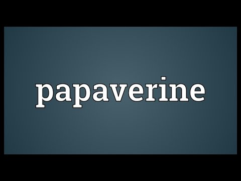 Video: Papaverine - Bruksanvisning, Beskrivelse, Anmeldelser