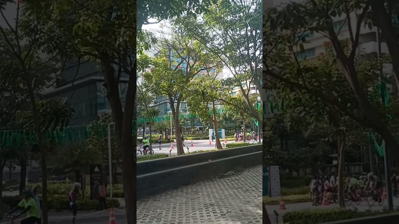 Ali Hussain Choudhary You see how the rally is going on with a bicycle?