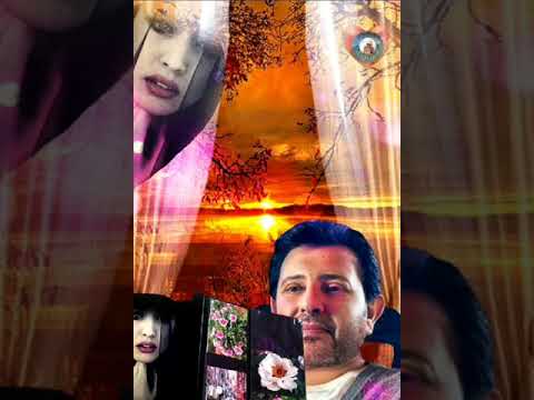 هاني شاكر الحلم الجميل