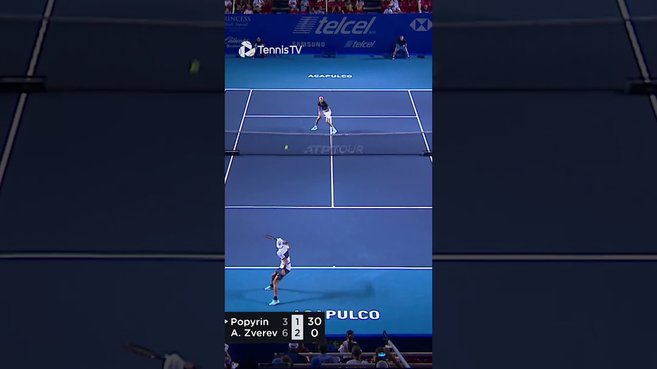 A Circus Of Point 