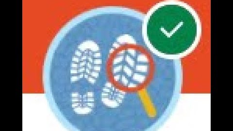 Choose the Right Search Solution || Search Solution Basics || Challenge 1