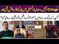 Tabish Hashmi Exposes Planted Calls | Javeria Saud Reacts | Reacts On Fiza Ali ? | 365 Entertainment