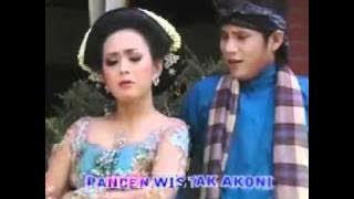 Tedjo & Soimah   Nikah siri