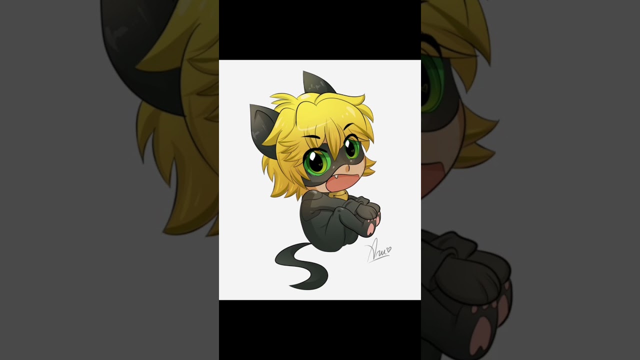 chatnoir edit ...