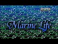 Marine Life (Enterprise 128k program)