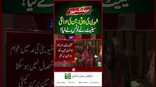 Senate Reviews Citizens' Land Issue Linked to Telecom Companies | Breaking News | Such News