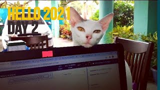 Day 2 No-Pork Saturday Curlytopflatfoot Hello 2021A Day In The Life