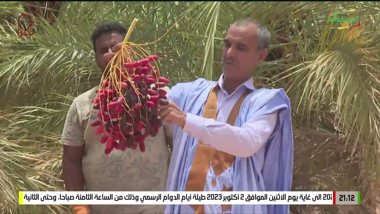 موريتانيا الاعماق (عين أهل الطايع ) 31-08-2023