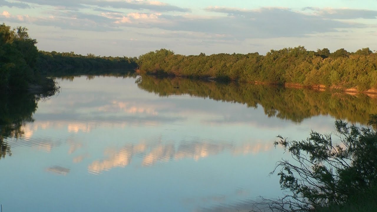 Aves del Uruguay. Dos Ríos.
