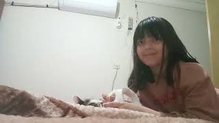 Bugün eve gelen yeni kedim ile oyun oynuyoruz çok komik🤣