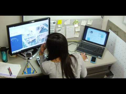 Mee-ya makes a 3D wire-frame model of a seal