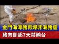 金門海漂豬再爆非洲豬瘟 豬肉即起7天禁輸台