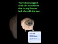 You’ve been pugged