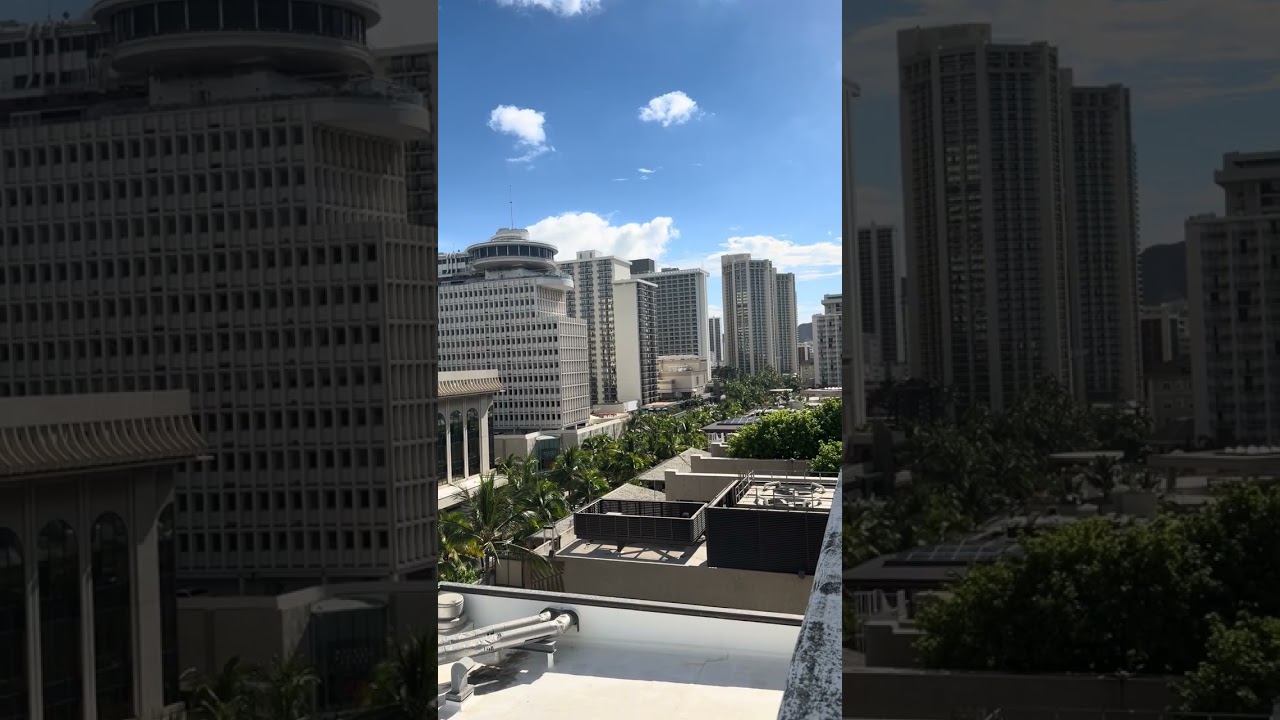 Я начинаю всерьез думать, что Свидетели Иеговы САМИ выбирают быть глупыми!