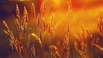 تلاوة هادئه من سورة ابراهيم - هزاع البلوشي