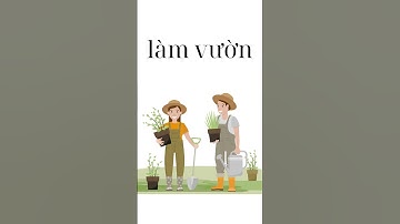 Vietnamese: vocabulary about hobbies #learninglanguages #learningvietnamese #vietnamese