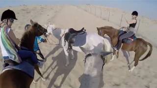 Horse Riding In Dubai (POV)