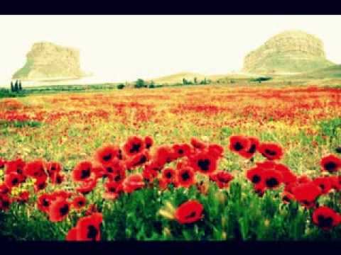 Kopi af vigen-Khazan hq