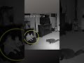 Câmeras de segurança capturam 'fantasma' deixando uma boneca e perseguindo seu gato