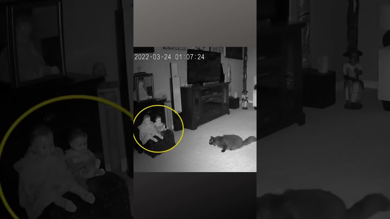 Câmeras de segurança capturam 'fantasma' deixando uma boneca e perseguindo seu gato