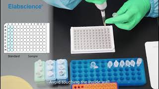 Competitive ELISA Operation Guide | Master ELISA in 1.5 Hours with Pro Tips!