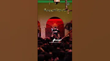 عجائب المشاية محمد الجنامي زيارة الأربعين مشاية 