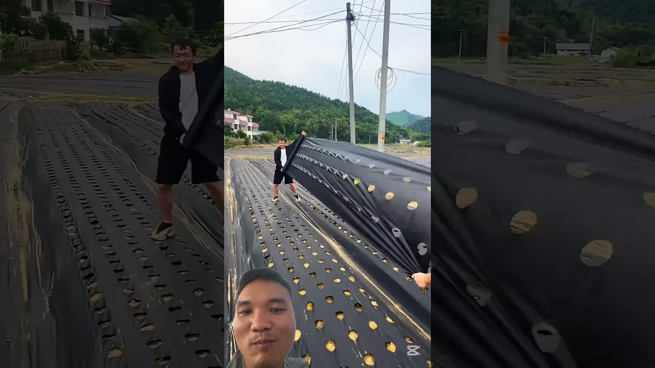 Lưới Chống Cỏ Giá Rẻ Mà Hiệu Quả Cao #landscape