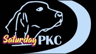 2026 PKC World Championship Semi-Final Matchups