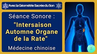 Séance spéciale “Intersaison Rate” - Médecine Chinoise