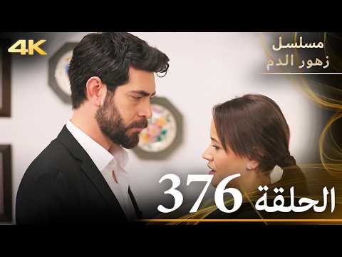 الحلقة 376 مسلسل زهور الدم مدبلج بالعربية Kan Çiçekleri جودة 4K