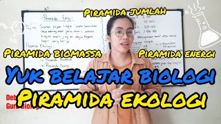 Biologi: Piramida ekologi ( piramida jumlah, biomassa dan energi )