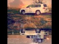 يابو محمد 