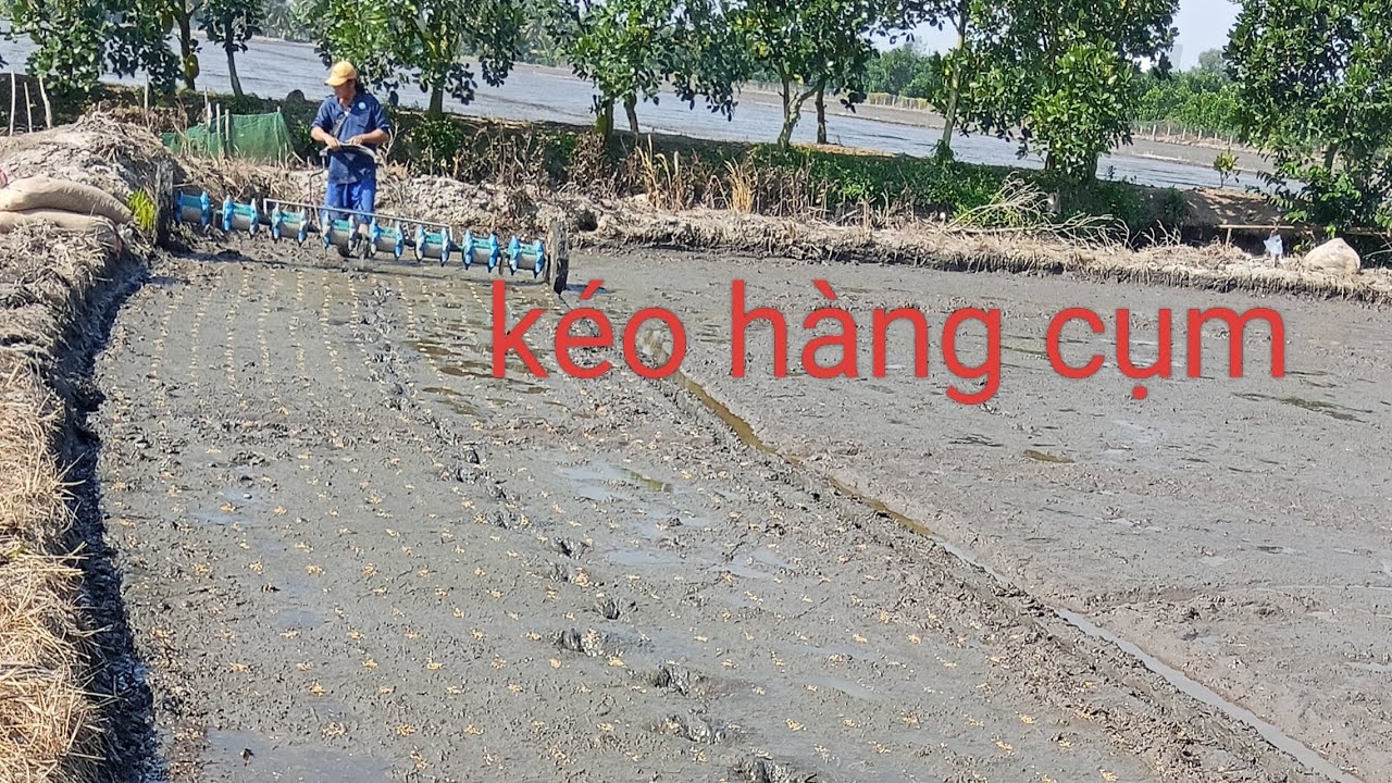 Kéo hàng cụm tại đồng tháp 
