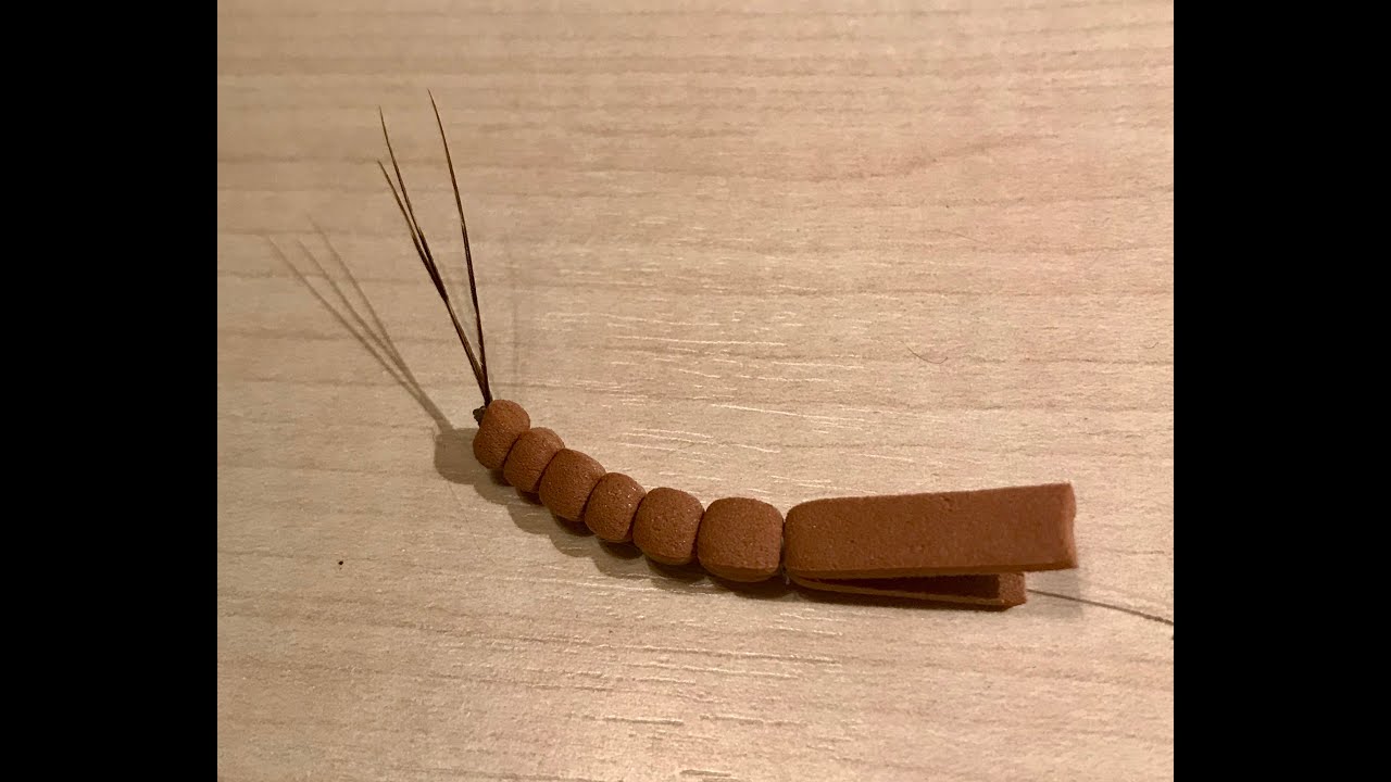 Montage d'un corps détaché pour mouche (pêche mouche)